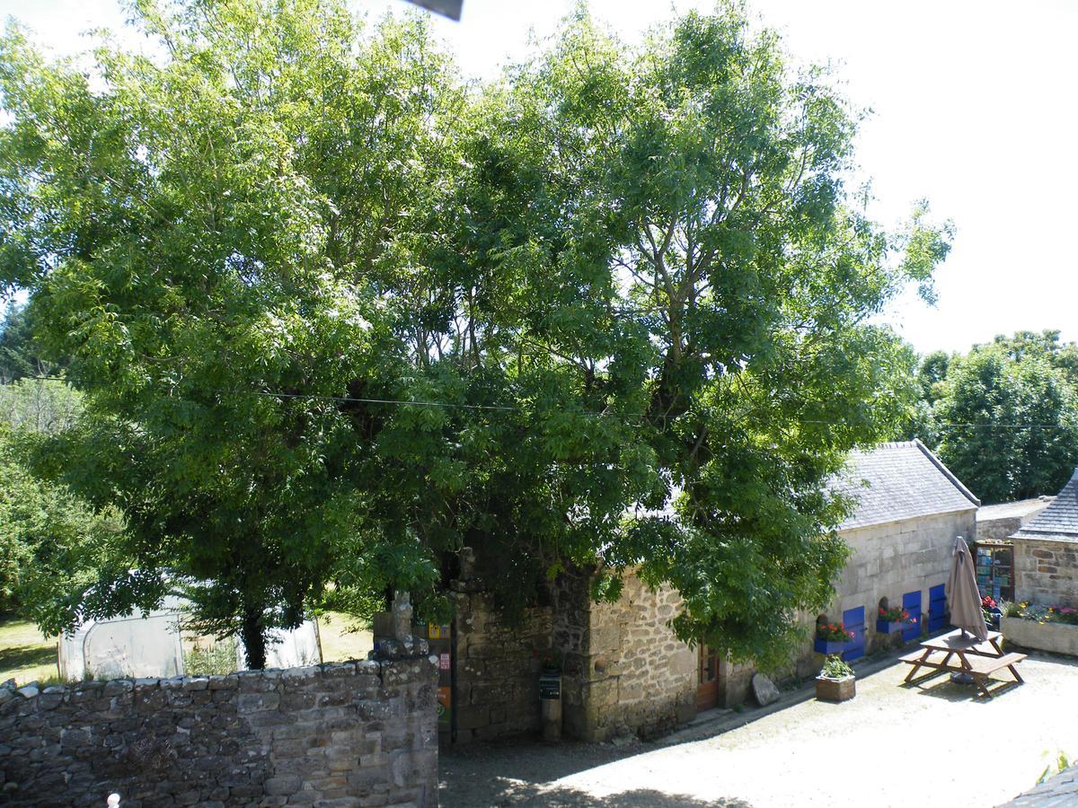 La Ferme Du Bout Du Monde Bed & Breakfast Plogoff Bagian luar foto